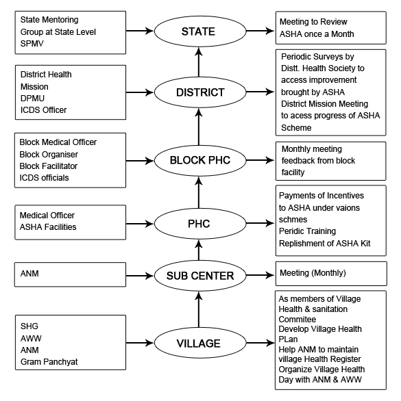 Asha - Flow Chart